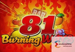 81 Burning Ways