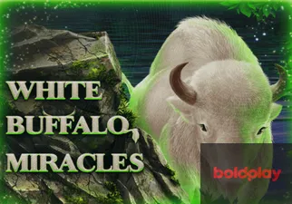 White Buffalo Miracles